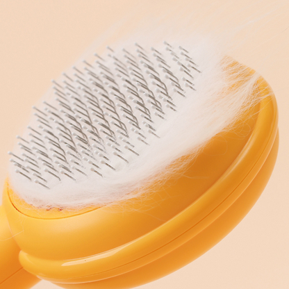 CleanPurr™ Brush