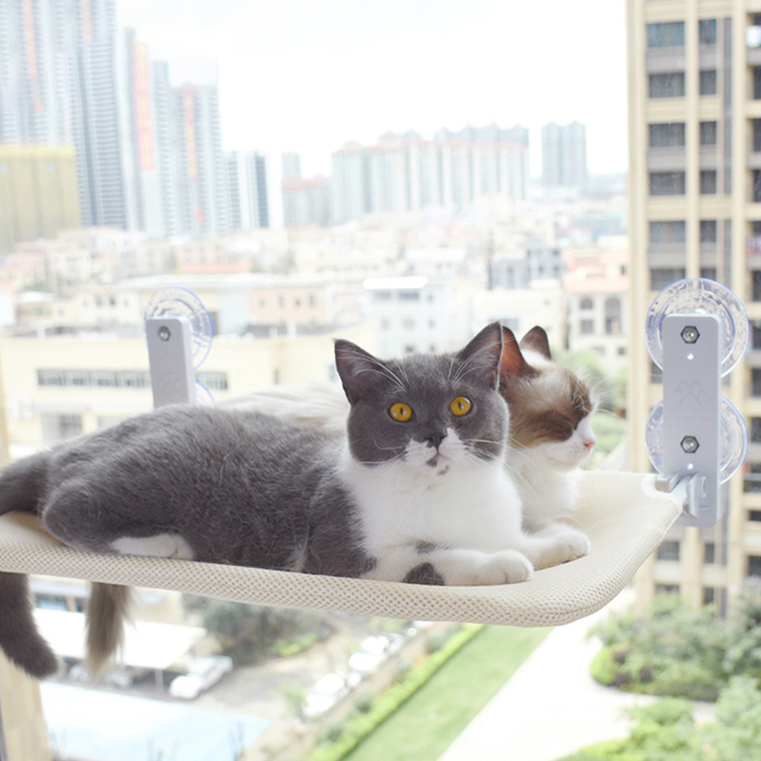 Purrfect Vista™ Hammock Bed