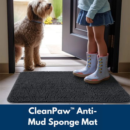 CleanPaw™ Anti-Mud Sponge Mat